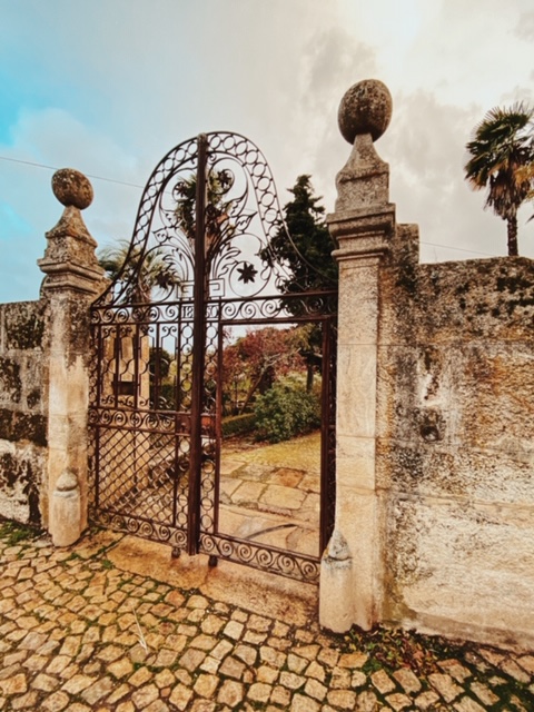 Processed with VSCO with c8 preset