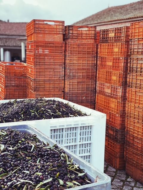 Processed with VSCO with n2 preset