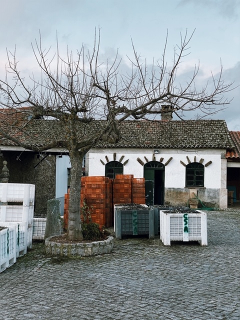 Processed with VSCO with j2 preset