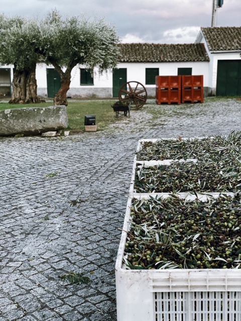 Processed with VSCO with j2 preset