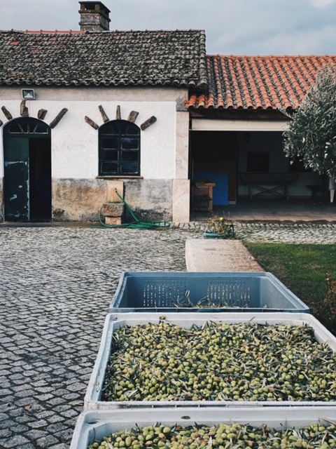 Processed with VSCO with hb2 preset