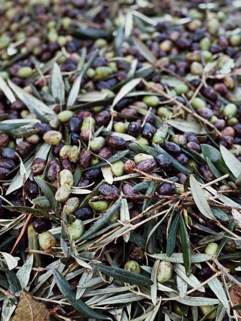 Processed with VSCO with j5 preset