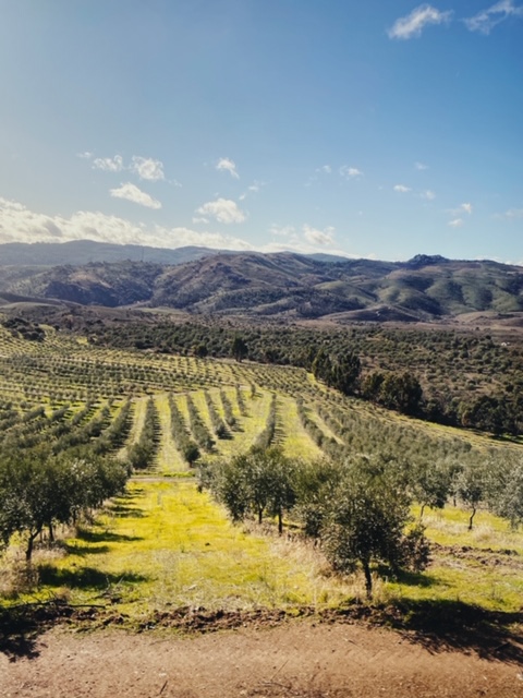 Processed with VSCO with ka3 preset