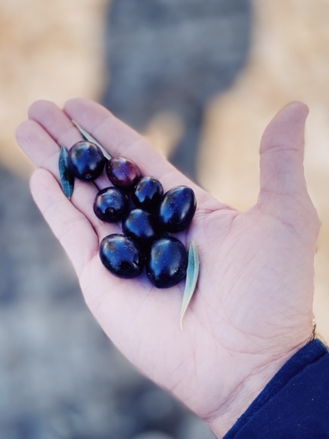 Processed with VSCO with kp8 preset