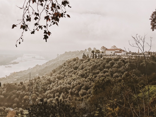 Processed with VSCO with c5 preset