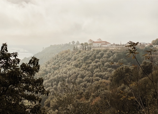 Processed with VSCO with l7 preset