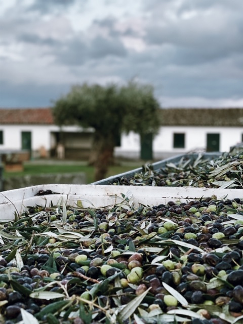 Processed with VSCO with j2 preset